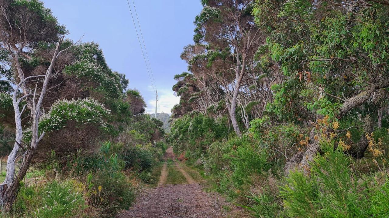 Cape Howe Cottages Lowlands 외부 사진